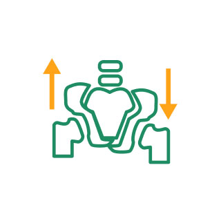 骨盤・背骨ケア